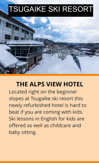 THE ALPS VIEW HOTEL Located right on the beginner slopes at Tsugaike ski resort this newly refurbished hotel is hard to beat if you are coming with kids. Ski lessons in English for kids are offered as well as childcare and baby sitting.  TSUGAIKE SKI RESORT