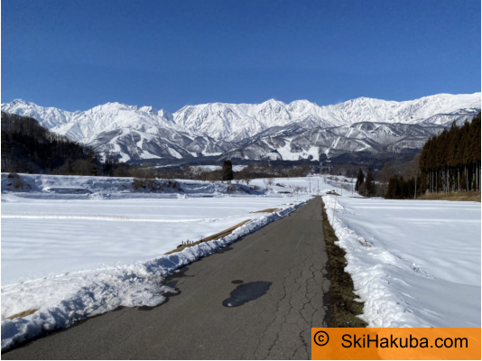   SkiHakuba.com