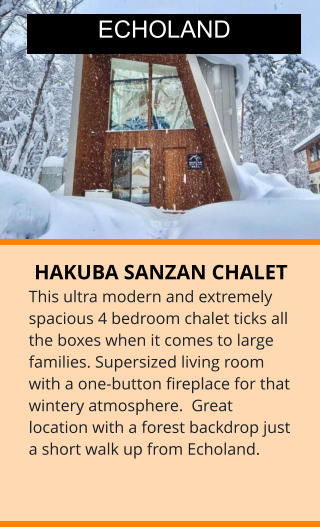 HAKUBA SANZAN CHALET This ultra modern and extremely spacious 4 bedroom chalet ticks all the boxes when it comes to large families. Supersized living room with a one-button fireplace for that wintery atmosphere.  Great location with a forest backdrop just a short walk up from Echoland.  ECHOLAND