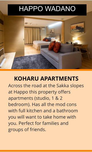 KOHARU APARTMENTS Across the road at the Sakka slopes at Happo this property offers apartments (studio, 1 & 2 bedroom). Has all the mod cons with full kitchen and a bathroom you will want to take home with you. Perfect for families and groups of friends. HAPPO WADANO