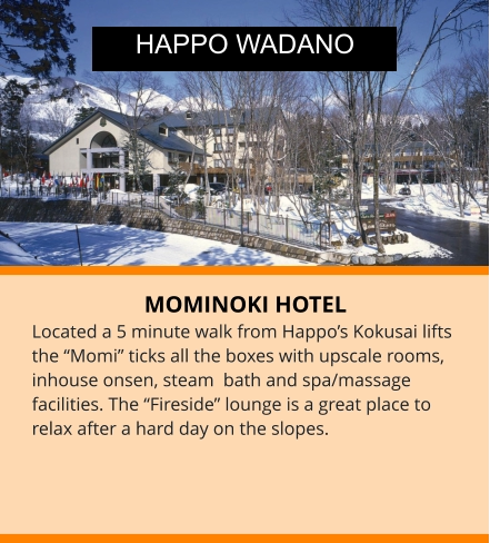 MOMINOKI HOTEL Located a 5 minute walk from Happo’s Kokusai lifts the “Momi” ticks all the boxes with upscale rooms,  inhouse onsen, steam  bath and spa/massage facilities. The “Fireside” lounge is a great place to relax after a hard day on the slopes. HAPPO WADANO