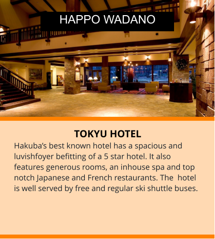 TOKYU HOTEL Hakuba’s best known hotel has a spacious and luvishfoyer befitting of a 5 star hotel. It also features generous rooms, an inhouse spa and top notch Japanese and French restaurants. The  hotel is well served by free and regular ski shuttle buses.  HAPPO WADANO