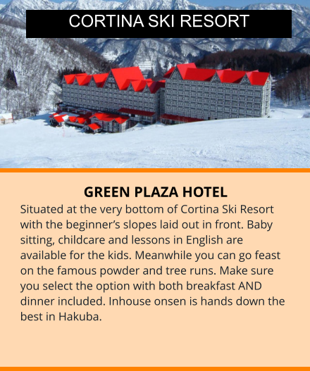 GREEN PLAZA HOTEL Situated at the very bottom of Cortina Ski Resort with the beginner’s slopes laid out in front. Baby sitting, childcare and lessons in English are available for the kids. Meanwhile you can go feast on the famous powder and tree runs. Make sure you select the option with both breakfast AND dinner included. Inhouse onsen is hands down the best in Hakuba. CORTINA SKI RESORT