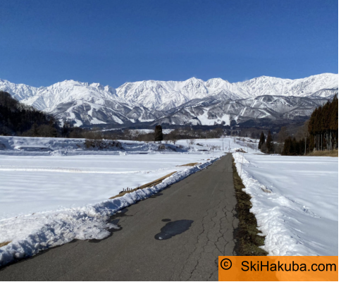   SkiHakuba.com