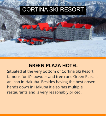 GREEN PLAZA HOTEL Situated at the very bottom of Cortina Ski Resort famous for it’s powder and tree runs Green Plaza is an icon in Hakuba. Besides having the best onsen hands down in Hakuba it also has multiple restaurants and is very reasonably priced.   CORTINA SKI RESORT