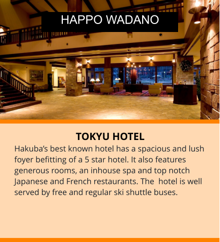 TOKYU HOTEL Hakuba’s best known hotel has a spacious and lush foyer befitting of a 5 star hotel. It also features generous rooms, an inhouse spa and top notch Japanese and French restaurants. The  hotel is well served by free and regular ski shuttle buses.  HAPPO WADANO