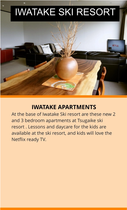 IWATAKE APARTMENTS At the base of Iwatake Ski resort are these new 2 and 3 bedroom apartments at Tsugaike ski resort . Lessons and daycare for the kids are available at the ski resort, and kids will love the Netflix ready TV.  IWATAKE SKI RESORT